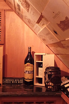 small wine cellar for homes
